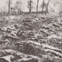 Postrieľaní vojaci v Karpatoch v roku 1914
